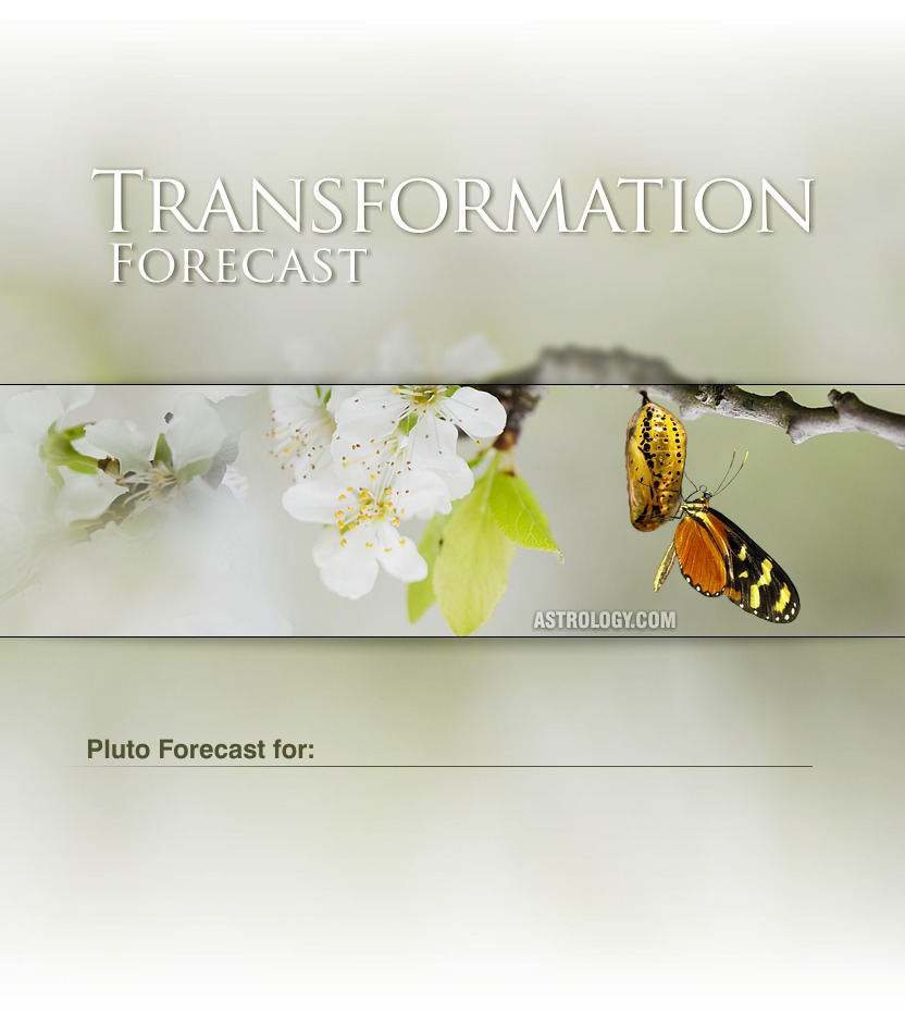 Transformation Forecast