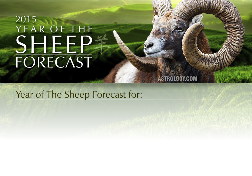 Year of the Wood Horse Forecast
